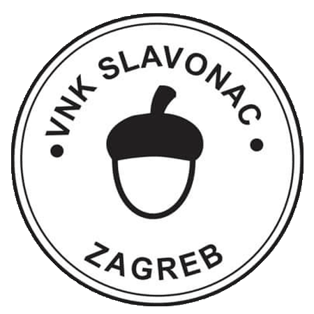 VNK Slavonac veterani